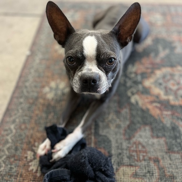 🐾🐾🩵🌊3/23 SHARE GROUP 🌊🩵🐾 - Picture 9 of 17